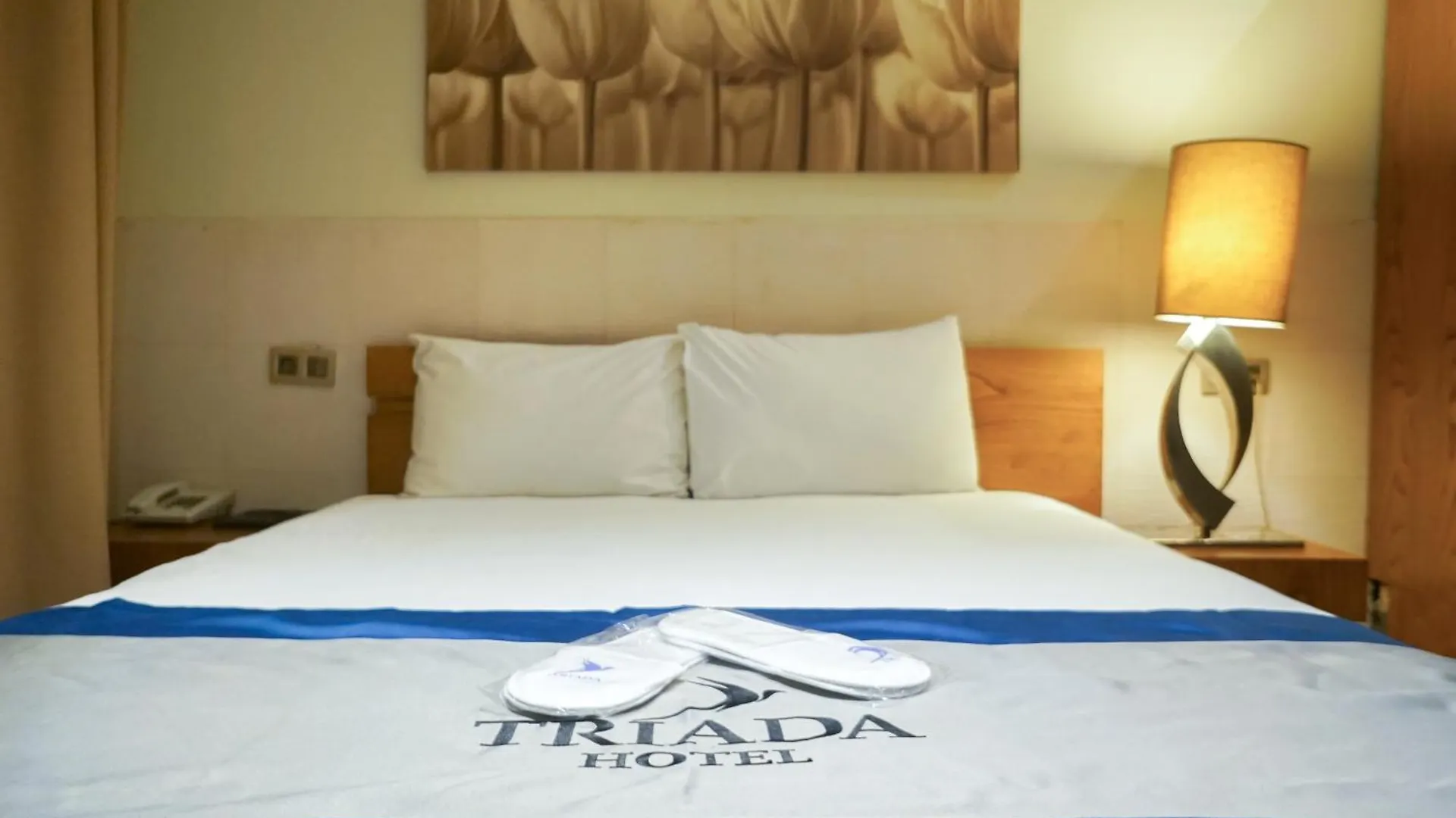 ****  Triada Hotel Taksim - Special Category Istanbul Turkey